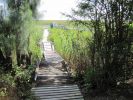 PICTURES/Everglades Air-Boat Ride/t_IMG_8971.JPG